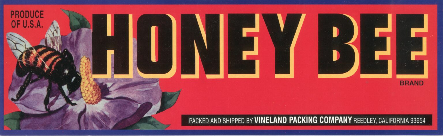 Honey Bee Honey Bee
